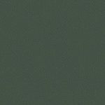 I.TX1NX09-1.jpg