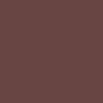 I.TX1NX19-1.jpg