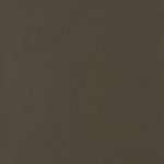 I.TX2111-1.jpg