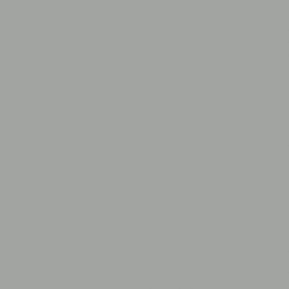 M.PC_.SNL_.jpg