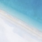 CW09-ArtistCanvas-VWC